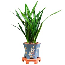 ī�m���m���羫���������҃��̨����Gֲ���߅����ļ��ͺ�