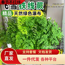 һ�����l�F��ާ������ꎿ͏d�҃��ⴹ�����B���ļ����G���~ˮ��ާ