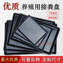 �����бP�Ӻ�����؈�û\�����ӹ��\��ʺ��P�Bֳ�u�S©�S��ӼS�P