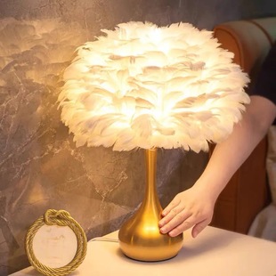 Cross-border American Feather Table Lamp Household Bedroom Nordic Simple Warm Romantic Wedding Room Decorative Bedside Nightlight