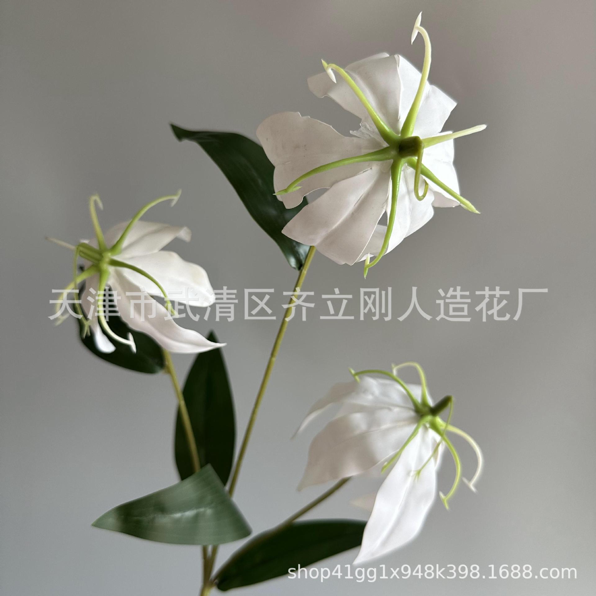 7호