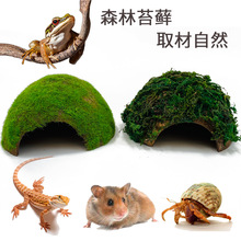 �}���쾰�������������������̨�،m������B���̦�\�쾰��Ʒ