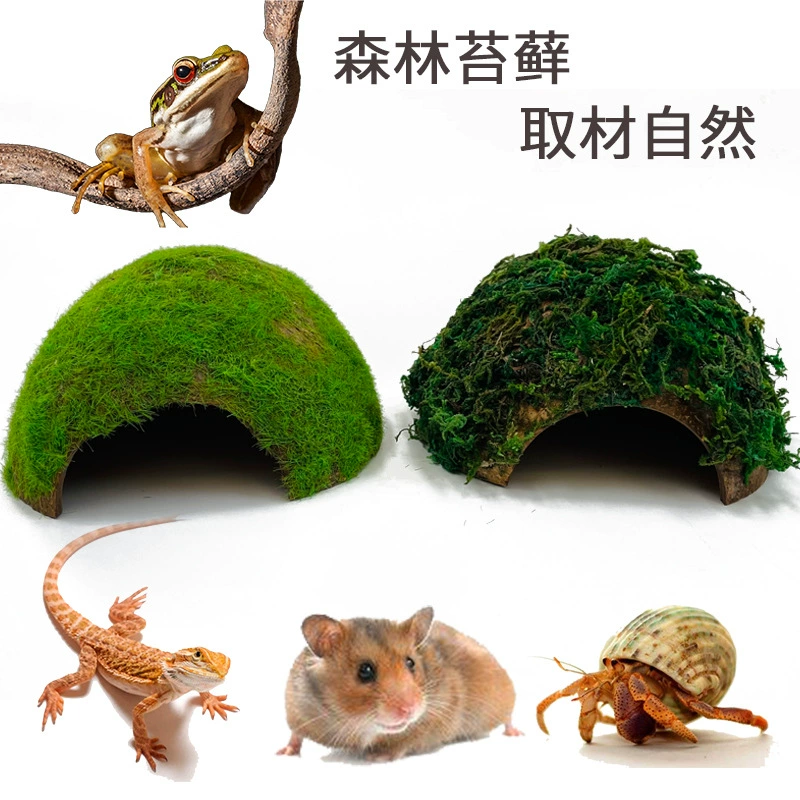 Хомяк Пейзаж Восхождение Домашнее животное Побег Дом Восхождение Черепаха Разное Стол Укрытие Дворец Ящерица Коробка для кормления Сухой мох Пейзажные принадлежности
