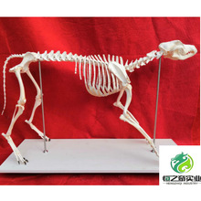 �iţ���R�������Ǽܘ˱� �u���~�Z��؈�����ܹ����˱� ����Ǽ�