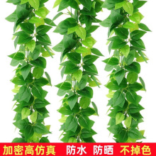 ����G�}�ٗl�����߷����ϼٻ��~�ܵ��b�픿��{ˮ�ړ��ڳ�