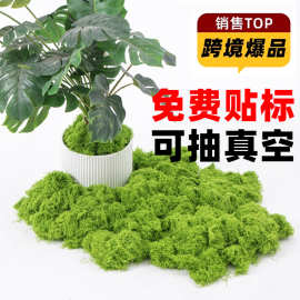 仿真苔藓造景假毛线草青苔丝皮绿植微景观植物装饰人造绒毛丝苔藓