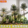 仿真景观植物热带绿植