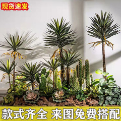 仿真龍舌蘭盆栽熱帶植物室內綠植水池景觀造景龍血樹落地裝飾擺件
