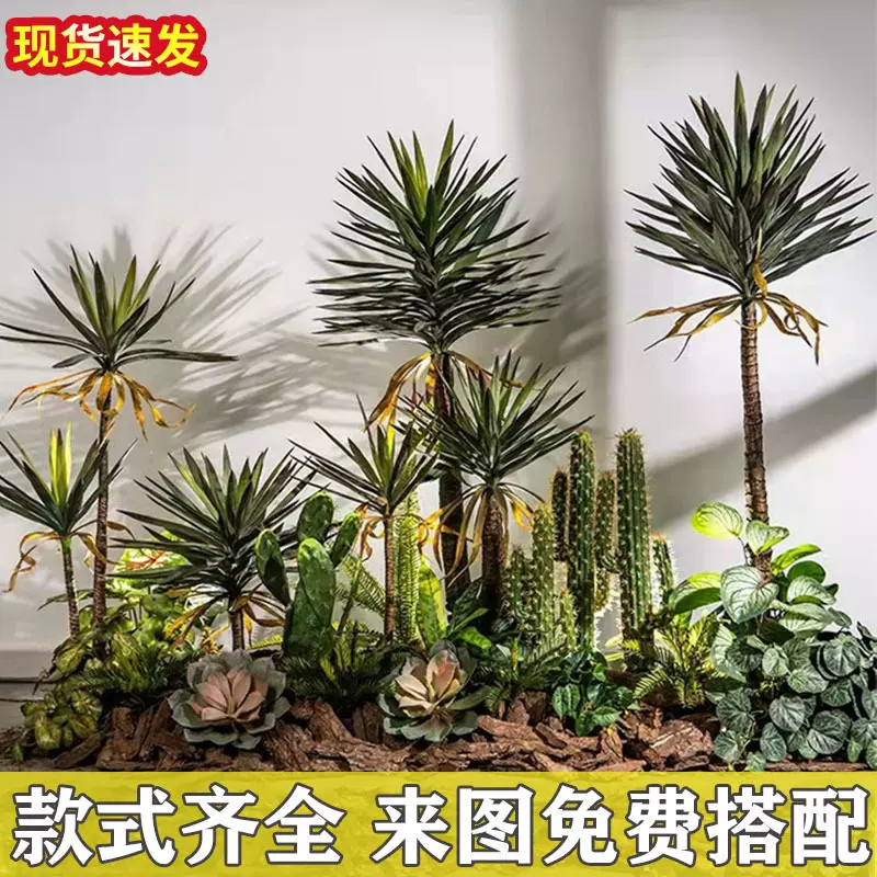仿真龙舌兰盆栽热带植物室内绿植水池景观造景龙血树落地装饰摆件