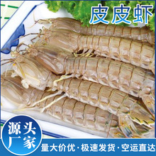 ƤƤ�r�r���r�����r�����l���r���r���r��Դ�^ƤƤ�r�r����