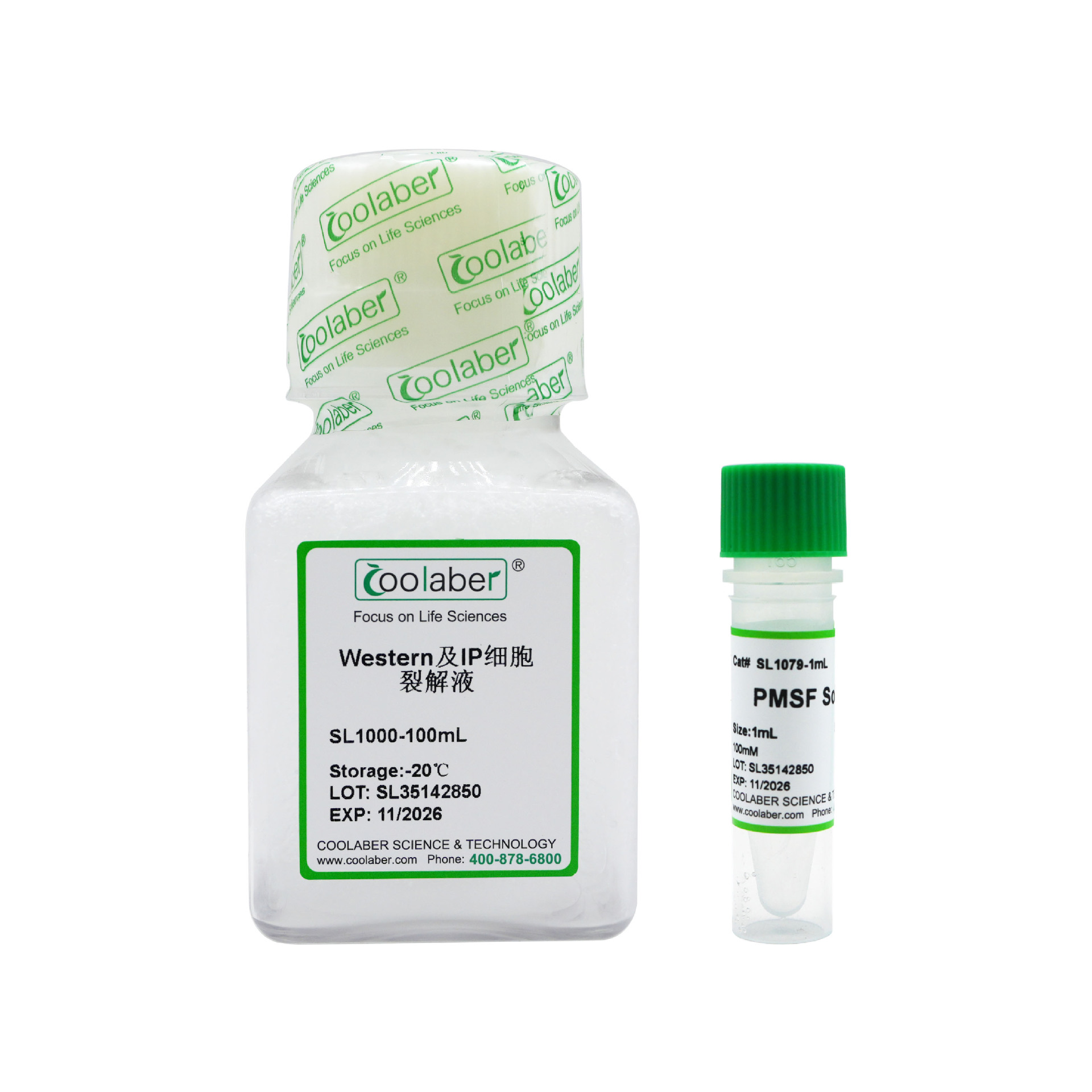 Western及IP细胞裂解液（含PMSF）