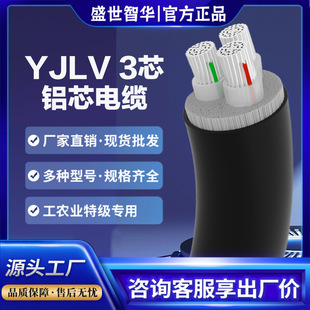 �����X��YJLV3о10 16 25 35 50 70 95ƽ��YJLV223о�z�b�����|