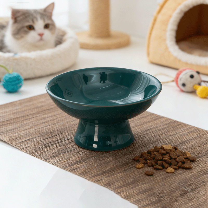 Ceramic Cat Bowl with High Legs, Pet Food Bowl for Cats and Dogs, Neck-Protecting, Anti-Spill, Cat Bowl for Eating and Drinking
