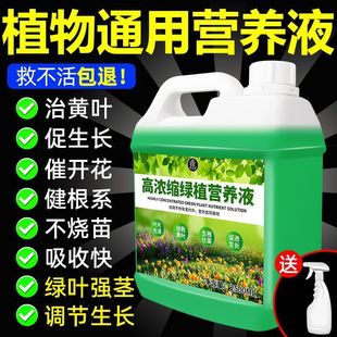 Plant Universal Nutrient Solution Soil Culture Hydroponic Money Tree Pothos Rich Bamboo Potted Indoor and Outdoor Flowering Green Fertilizer