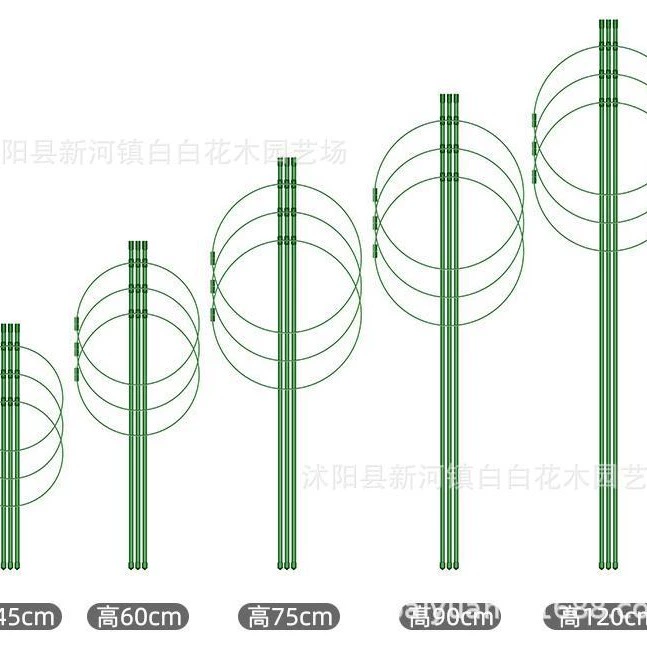 Растения лазают на стальную трубу цветочный горшок для восхождения на виноградную лозу