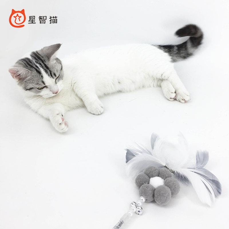 Xingzhi 고양이 애완 동물 고양이 일일 용품 요정 고양이 물린 방지 깃털 벨 긴 막대 셀프 하이 고양이 장난감