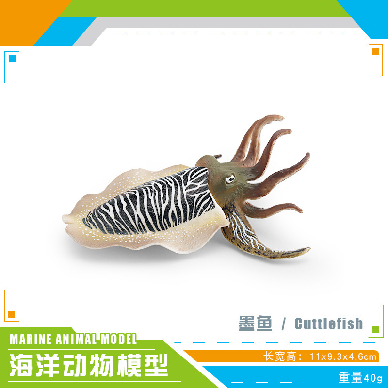 Simulación transfronteriza modelo de animales marinos cognitivo infantil tiburón ballena azul calamar ballena jorobada delfín decoración estática
