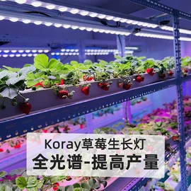 植物生长灯