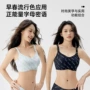 月子薄款聚拢妈咪胸罩