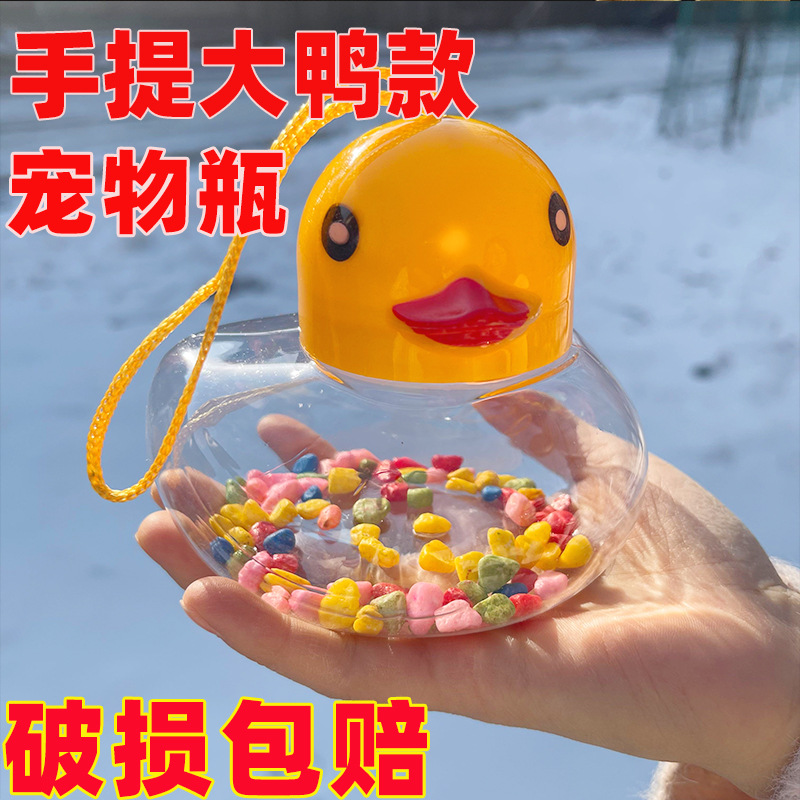 Mini Pecera Portátil de Plástico para Peces Pequeños y Tortugas