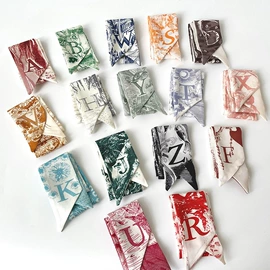 发夹;丝巾;发带