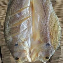 �������|�~�����~�ɻ��|�~�S���~�ɺ�ζ�خa��؛