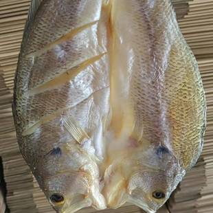 �������|�~�����~�ɻ��|�~�S���~�ɺ�ζ�خa��؛