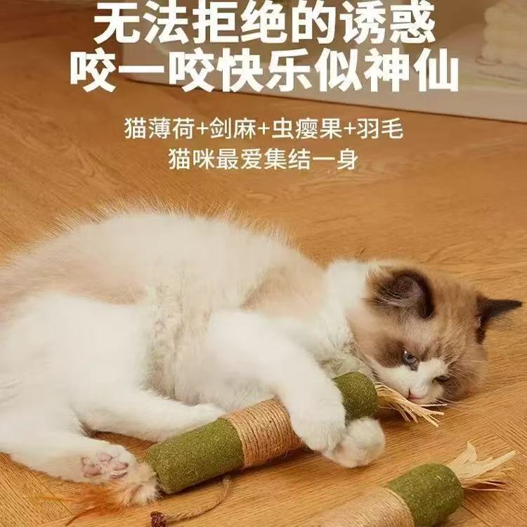 猫咪玩具超大猫薄荷自嗨解闷耐咬木天蓼猫逗猫棒猫咪磨牙宠物玩具|undefined