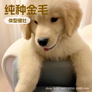 ���l���Ƽ��N���ͽ�ëѲ��Ȯ��äȮ�o�lȮ��Ȯ���w��������ȮС��