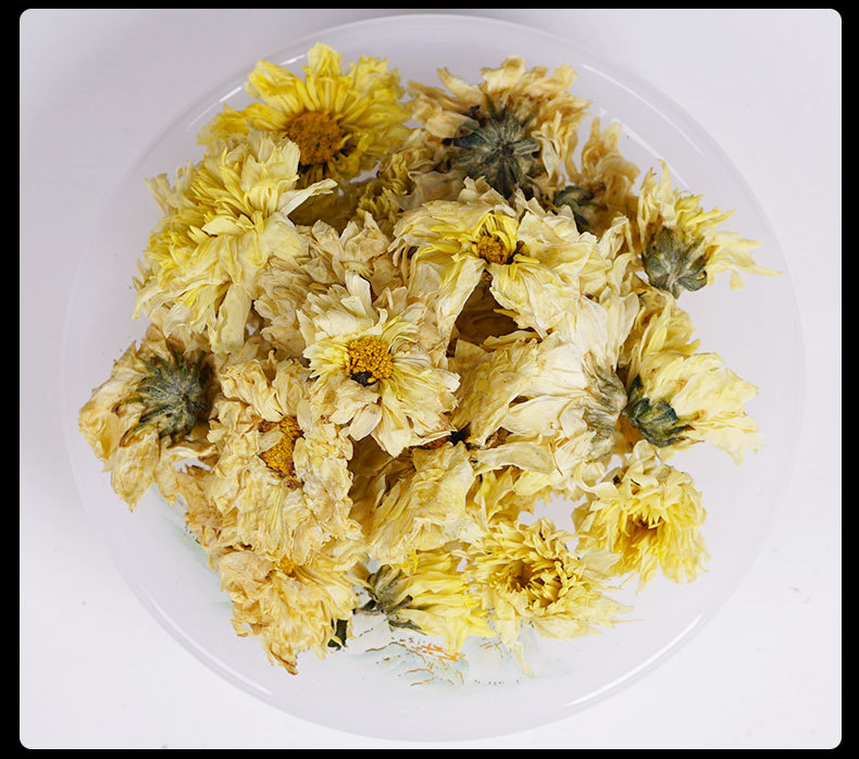 Hang Bai Ju Chrysanthemum Tea (Chrysanthemum morifolium) — First-Harvest Dried Flower, 500g Loose in use