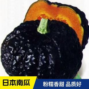 �ļ��ձ��ϹϷN�� ��������Ϲ�Ʒ�N������Ŵ��ؐؐ�ϹϷN��