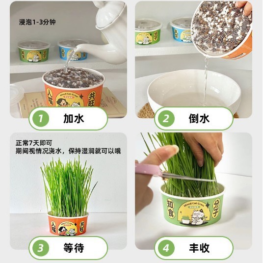 怠惰なインスタントラーメン猫草鉢植え水耕栽培猫草カップ猫の毛を除去し消化を促進するスナック猫草の種子卸売|undefined