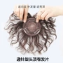 头顶女士妈妈中老年真发