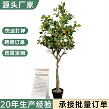 �羳���R�d������Ә����ԾƵ�Ҿӵ���b����쾰�������Ә�