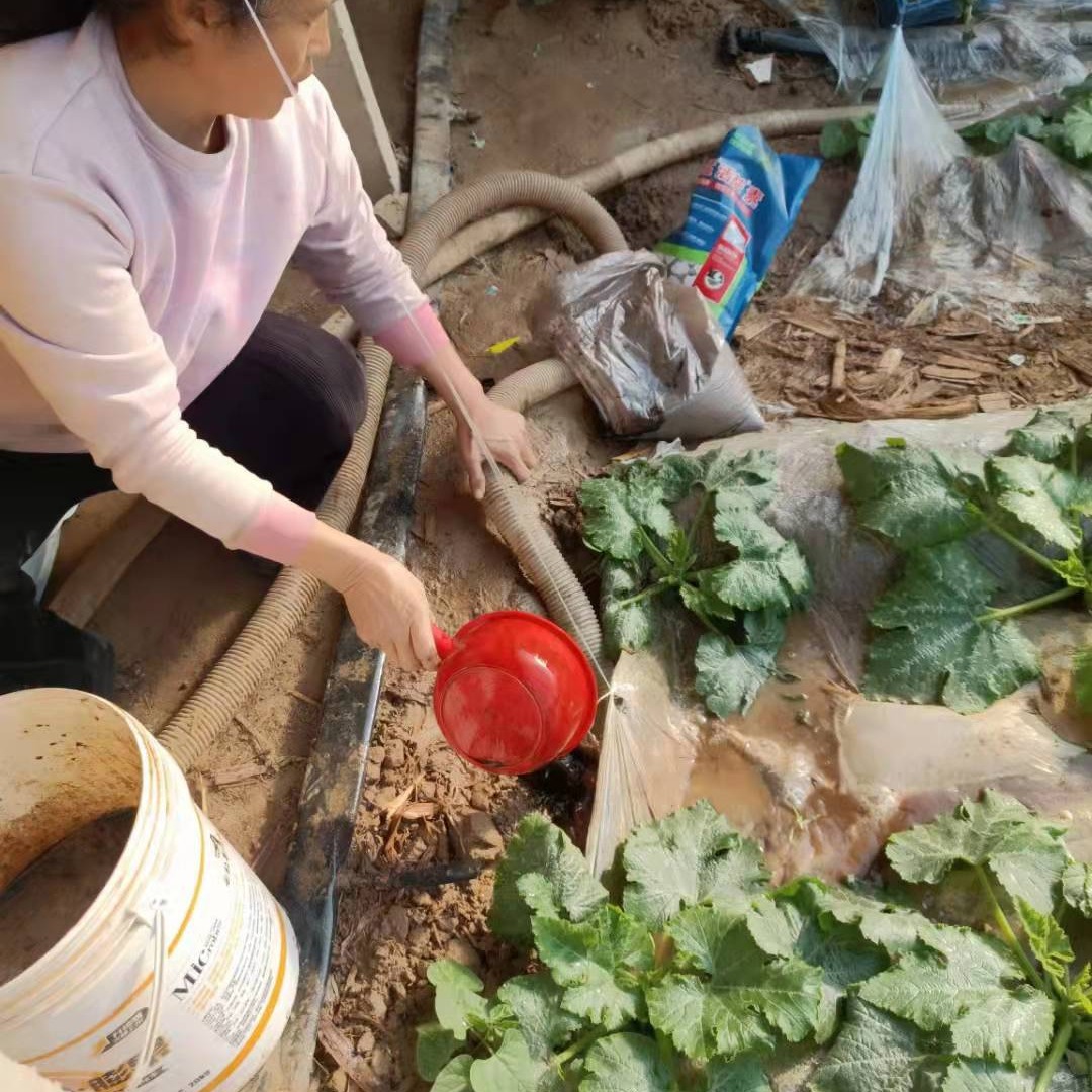 勇猛厂家批发活益素微量元素全水溶海藻精矿源黄腐酸生根膨果上色