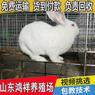 �����m���÷N�Ãr��ɽ�|�����������|���ù�ĸ�����M�\ݔ�N�ó���