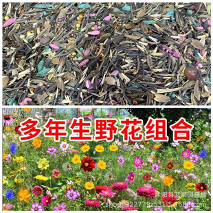 Ұ���M�ϻ��N�Ӹ�ɣ����˹���ļ����N�_���׻�N����̫ꖻ��N��