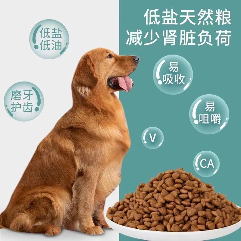 64b3e9e0-2629-4d87-835e-d5fec5e17f7b.jpe