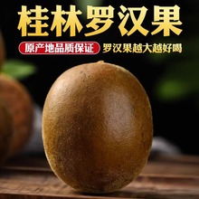 罗汉果干果中药材大果正品旗舰店广西特产干货鲜桂林罗汉果茶泡水