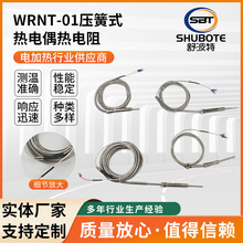 压簧热电偶厂家供应WRNT-01压簧式感温探头温度传感器压簧热电阻
