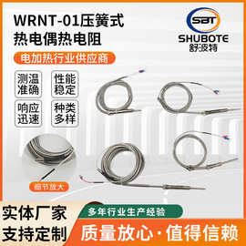 压簧热电偶厂家供应WRNT-01压簧式感温探头温度传感器压簧热电阻
