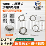 压簧热电偶厂家供应WRNT-01压簧式感温探头温度传感器压簧热电阻