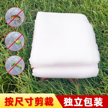 聚乙烯防虫网 代发大棚防虫网60目 加厚防虫网罩 跨境裁片防虫网
