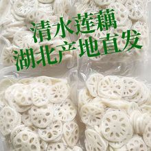 【热卖中】中国大陆/湖北省/孝感市新鲜清水莲藕片1斤5斤商用凉拌