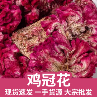 ���u�ڻ�  �t�u�ڻ� �Pβ�u�� �u�ٻ��u�����a��؛Դ �S��ֱ��