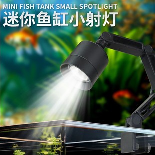 Aquarium Supplies Small Fish Tank Household Led Aquatic Lamp Native Stream Mini Fish Tank Special Lamp Small Spotlight