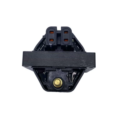 Alovlanma bobini (Babinalar) Cadillac Ignition Coil
