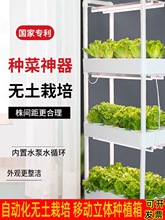 �o�������O���ͥ�̨�Nֲ�߲˲�ݮ�Ԅ�ˮ��ˮ���������w�N�˙C