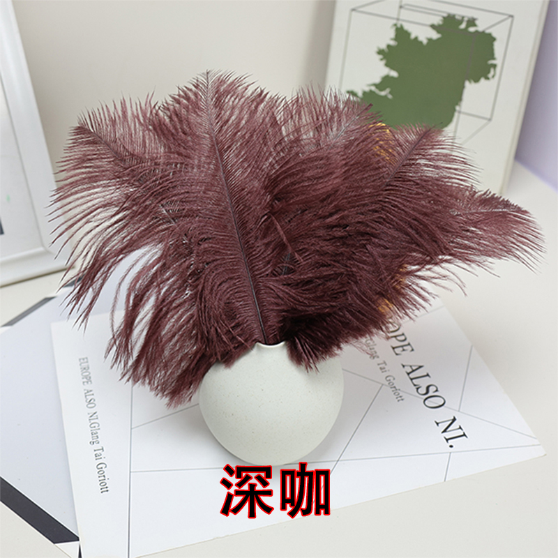 Plumas de avestruz bodas blancas de avestruz guía de plumas accesorios de fotos adornos rojo rosado en línea grandes plumas decoración