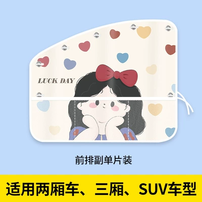 Car curtains: for Interior Use, Baby Sun Protection - sw-princess-passenger